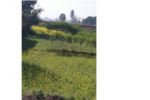 Commercial Land on Sale at Bardiya,Bansgadhi (2 and half Kattha)