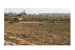 10 Kattha 10 dhur Commercial Land on sale at Bhaisahi,Mahadmadpur-8, Bardiya. 