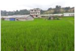 3 Roani Land on Sell In Changunarayan Nagapalika ward no. 4