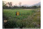 Multipurpose Land On Rent At Gaindakot, Nawalpur