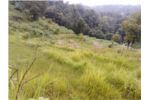 Commercial / Residential Land on Sale at Pokhara.( 15 lakh per Ropani)