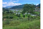 1 Ropani Residential Land on sale at Lele,Lalitpur.